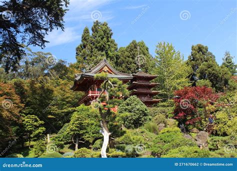 Japanese Temples In The Forest Stock Photo Image Of Green Trees