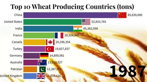 Top 10 Wheat Producing Countries 1961 2018 Data Is Magic Youtube