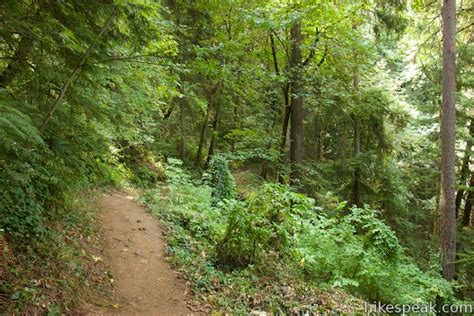 Hiking project is built by hikers like you. Pittock Mansion Hike | Forest Park | Hikespeak.com