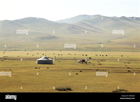 Mongolian Steppes Landscape Stock Photo Alamy
