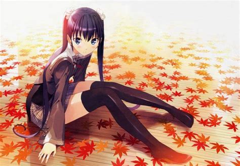 Leaves Anime Anime Girls Sitting Stockings School Uniform Akizora