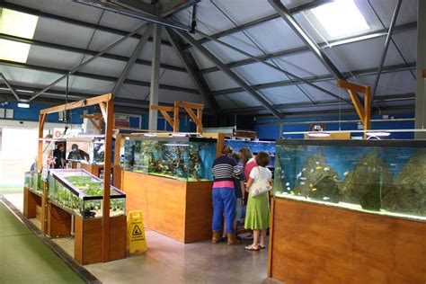 Mere Park Maidenhead Aquatics Fish Store Review Tropical Fish Site