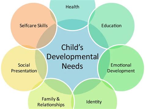 What Are The Four Stages Of Piagets Cognitive Development Dailybio News