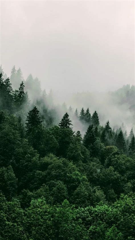 So Calm Landscape Photography Nature Forest Wallpaper Nature