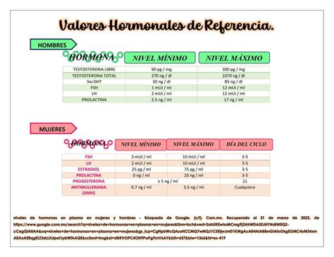 Res Menes De Valores Hormonales Descarga Apuntes De Valores Hormonales