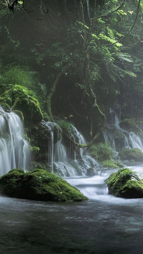 Spring Waterfall Stone Fog Mist Green Forest 4k Hd Nature Wallpapers