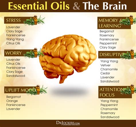 You will find, on every page, useful and intriguing knowledge, resources. How To Use Essential Oils For Brain Health - DrJockers.com