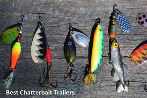 Best Chatterbait Trailers For Bass Fishing In 2024