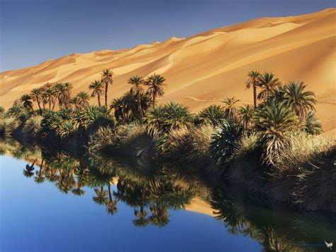 Desert Oasis Wallpaper 4k
