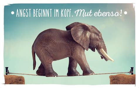 Wir alle brauchen regelmäßig feedback. Pin auf Zitate_Sprüche