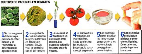 5 / 5 35 мнений. VACUNA MATATA: vive y deja vivir: Vacunas Comestibles