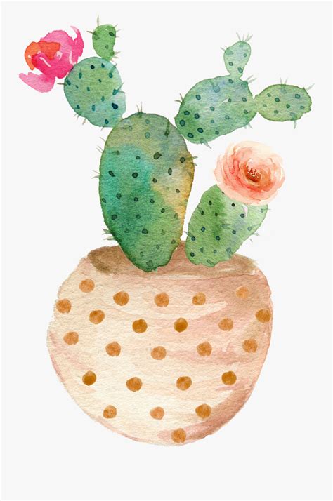 Cactus Vector Transparent Library Watercolor Clipart Watercolor