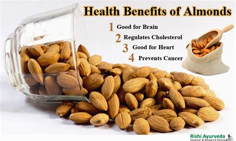 Rishi Ayurveda Hospital And Research Centre Health Benefits Of Almonds