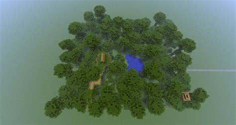 Ocelot Habitat Minecraft Map