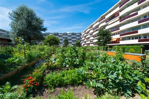 Jardin Potager Urbain Ô Jardins