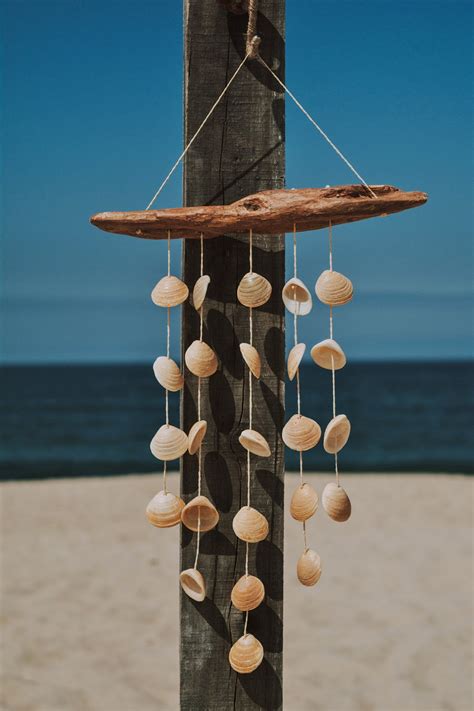 Large Natural Driftwood And Clam Shells Wind Chime Beach Etsy