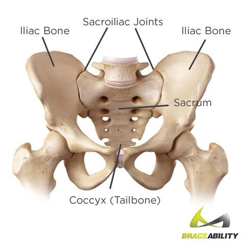 6 Best Sacroiliac Joint Pain Exercises And 5 To Avoid