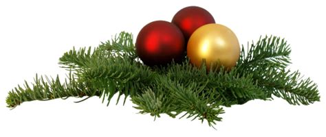 Discover free hd christmas tree png images. Christmas Branch PNG Transparent Image - PngPix