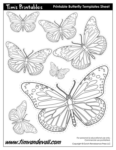 Classroom garden project, lifecycle of butterfly and many more. Butterfly Printables - Tim's Printables