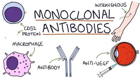 Monoclonal Antibodies Sky Disk