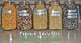 Pictures of Popcorn Varieties