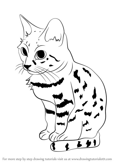 Also, the pictures helped me see how to draw the lines. Learn How to Draw a Black-Footed Cat (Wild Animals) Step ...