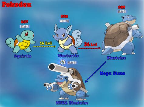 Tree Of Evolution Squirtle By Mawilexy On Deviantart