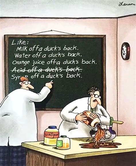 13 Funniest Far Side Comics That Prove Its Obsessed With Ducks