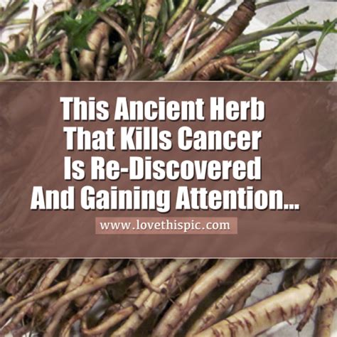 This Ancient Herb Kills Cancer Cells In 48 Hours And Is Much Better