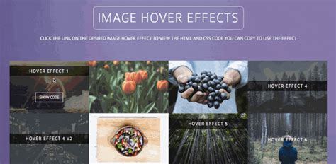 12 Css Libraries For Beautiful Image Hover Effects Hongkiat