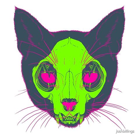 Cat X Ray By Joshbillings Redbubble