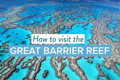 How To Visit The Great Barrier Reef Tours From Cairns