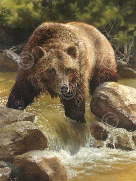Bear Art Print Grizzly At Roaring Creek By Bonnie Marris
