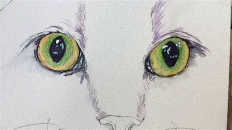How To Paint A Cats Green Eyes Cat Greens Cat Painting Watercolor Cat