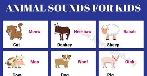 Animal Sounds Interesting List Of Animal Sounds For Kids Love