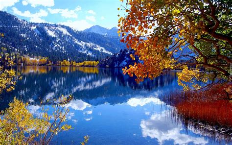 Góry Jezioro Drzewa Jesień