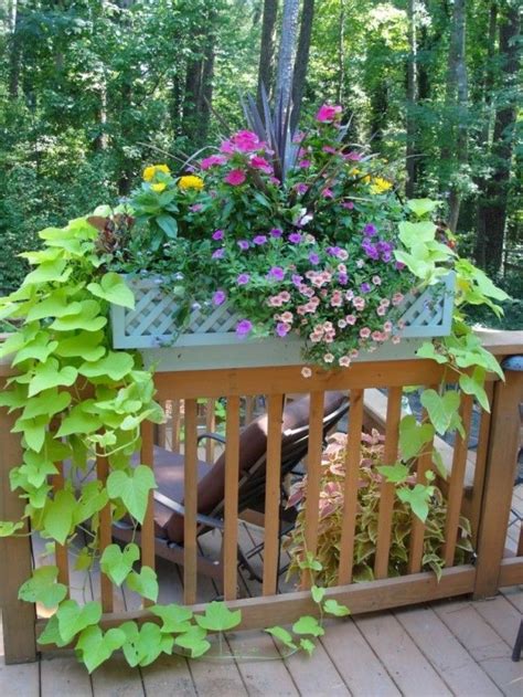 Pin By Montez White On Plant Ideas In 2020 Deck Railing Planters