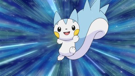 Dawns Pachirisu Pokémon Wiki Fandom Powered By Wikia