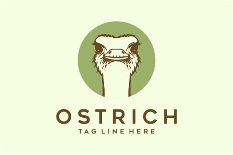 Ostrich Logo Design Template Branding And Logo Templates Creative Market