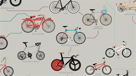 Infographic The Evolution Of The Bicycle From 1780 To 2000