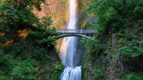 Multnomah Waterfalls Between Rocks And Bridge Around Green Trees Hd