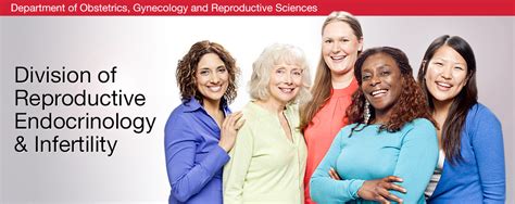 Welcome To The Division Of Reproductive Endocrinology And Infertility