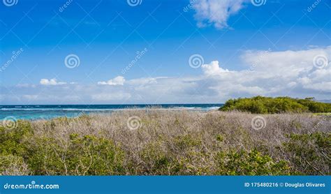 View Of Noronqui Cay At Los Roques National Park Stock Photo Image Of