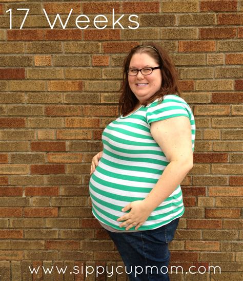 Pregnancy Update 17 Weeks With Twins Sippy Cup Mom