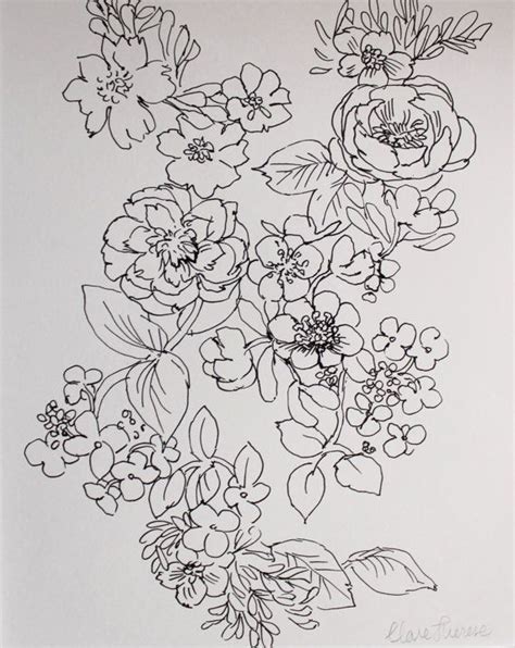 1000 Ideas About Floral Drawing On Pinterest Botanical Prints