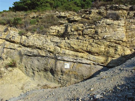Tertiary Marls And Sandstones Of The Lopar Peninsula Photo M Kovačić Download Scientific