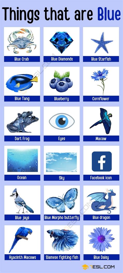 Awesome Things That Are Blue In Nature Esl
