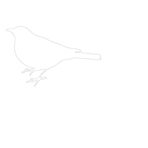 White Bird Png Svg Clip Art For Web Download Clip Art Png Icon Arts
