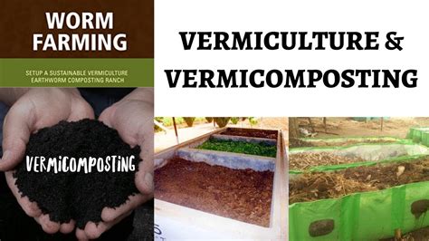 What Is Vermiculture And Vermicomposting How Worms Convert Our Waste