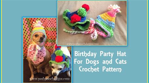 Birthday Party Hat For Dogs And Cats Crochet Pattern Youtube